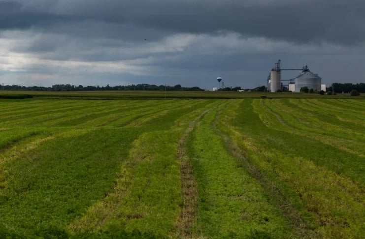 The Green Campaign To Reduce Cattle Numbers Through Regulatory Action