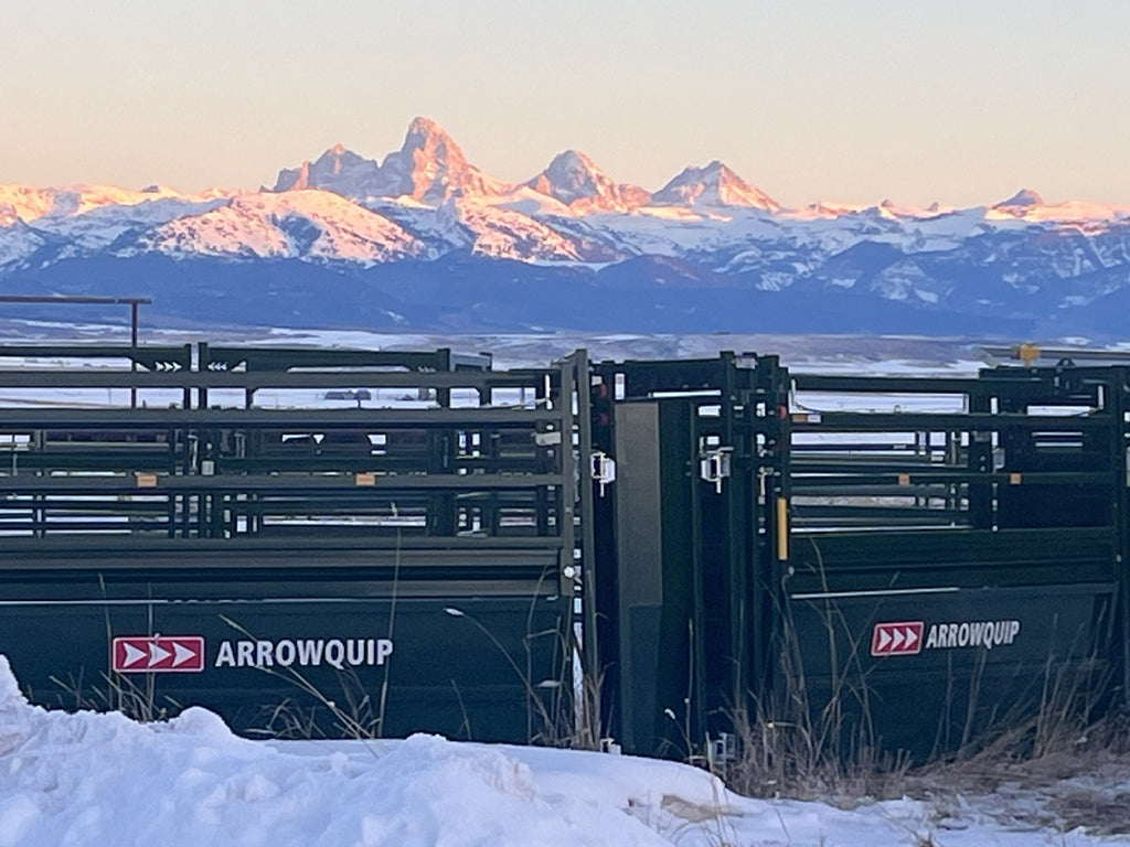 Scenic Ranch Backdrop