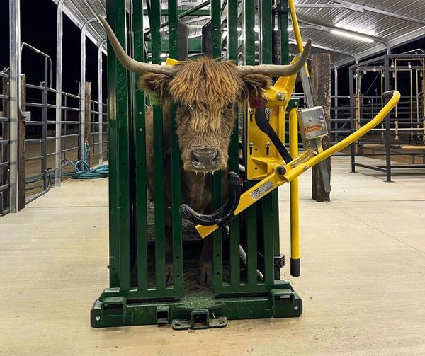10 Reasons Why You Need A Squeeze Chute