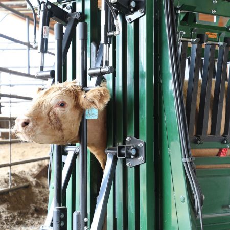 Arrowquip General Hydraulic Squeeze Chute-For Feedlots