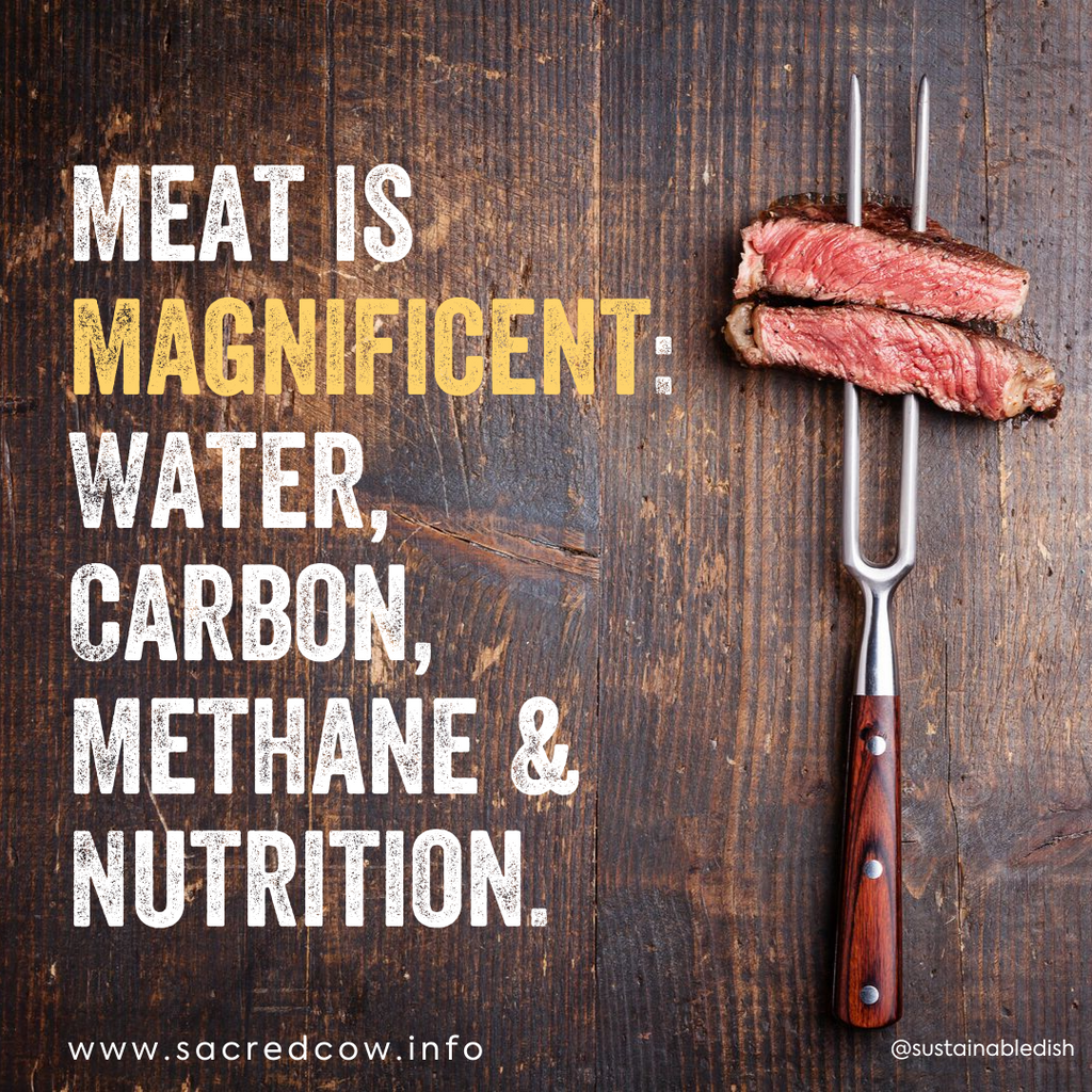 Meat is Magnificent