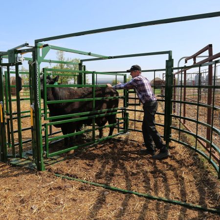 Calving Instruments Arrowquip Calving Pen – HowardStores.com